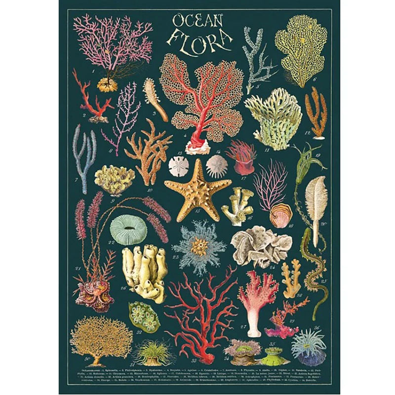 Ocean Flora Poster