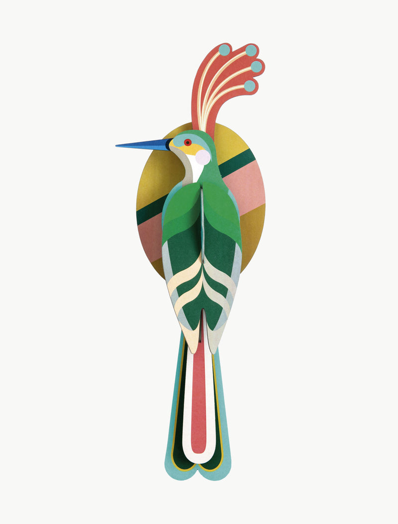 Nias - Paradise Bird
