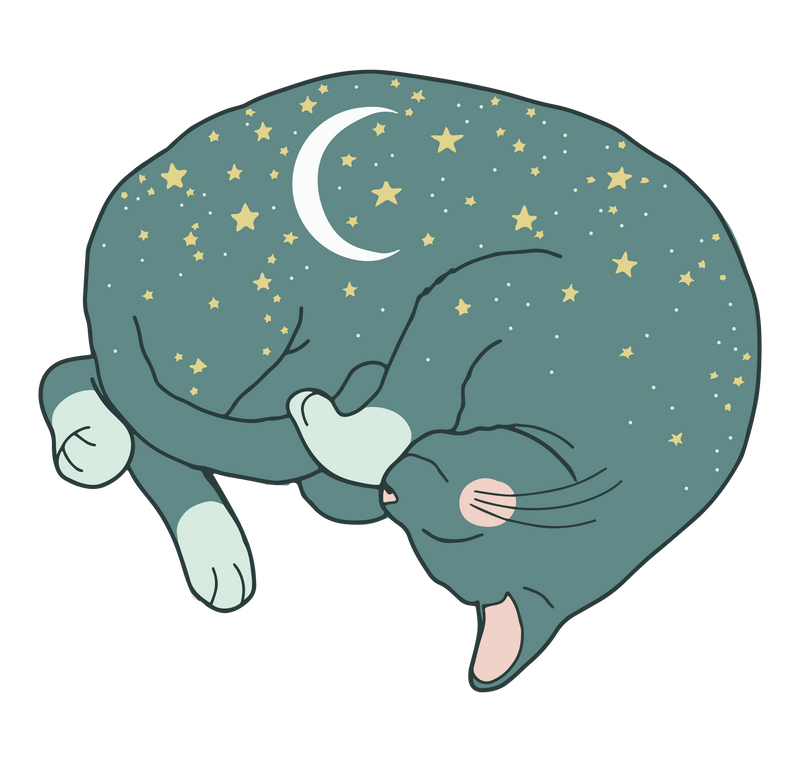 Sleepy Cat Night Sky Sticker