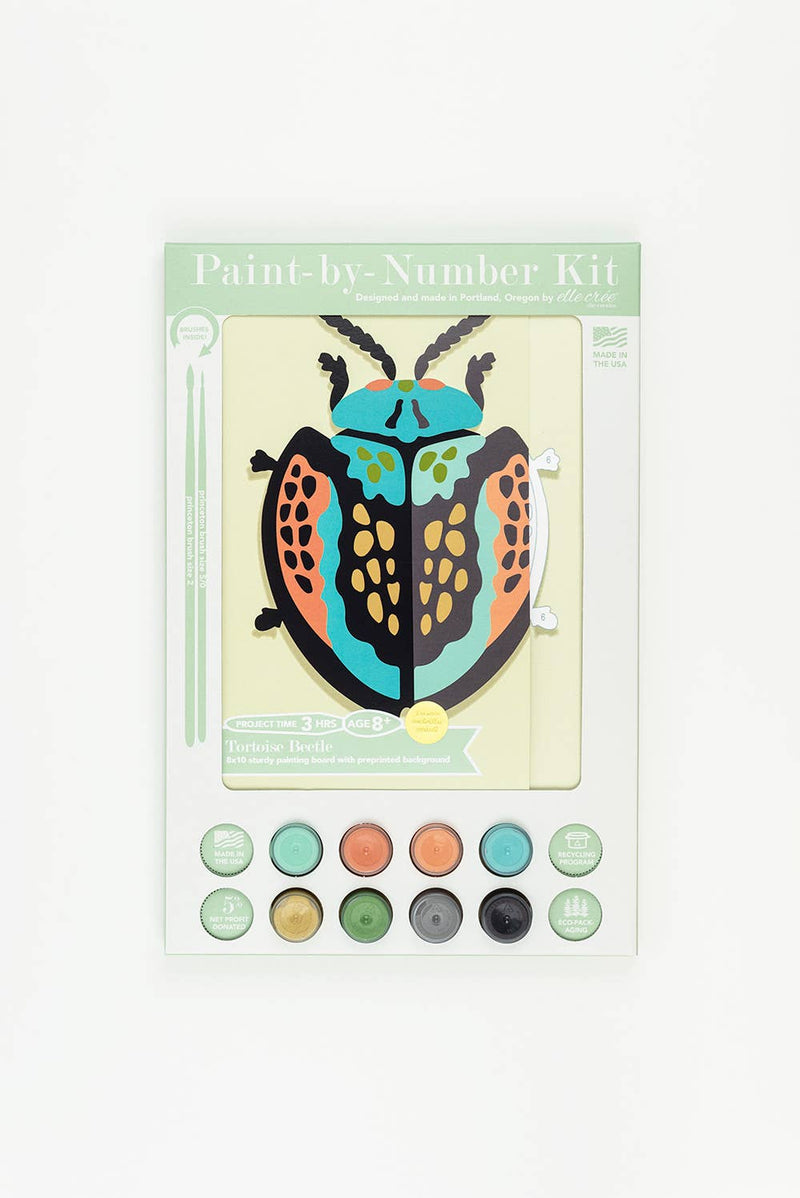 Kids Tortoise Beetle Paint-by-Number Kit