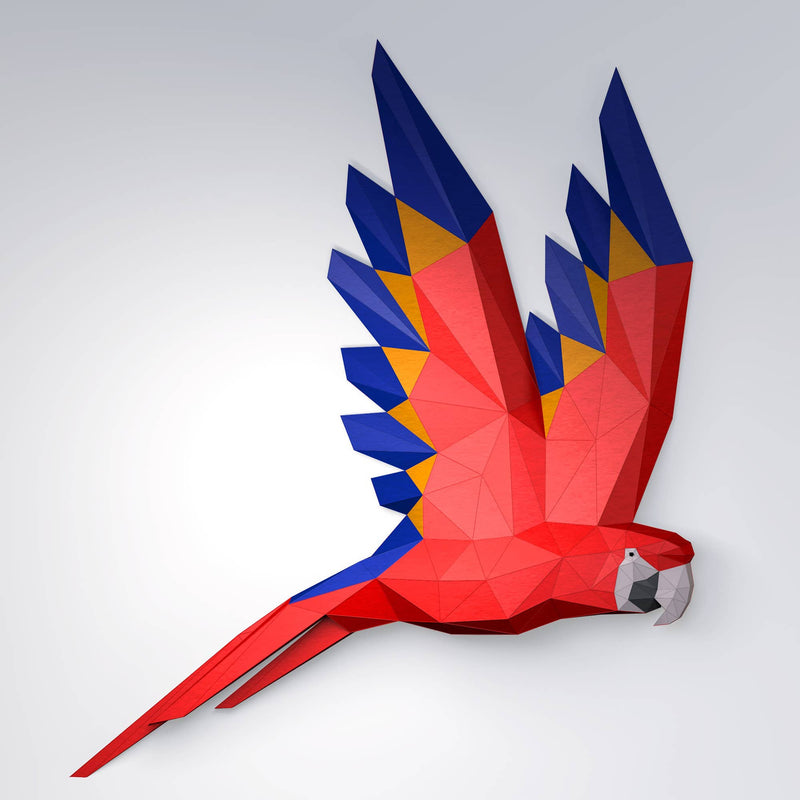 Macaw Wing Paper Model Wall Art